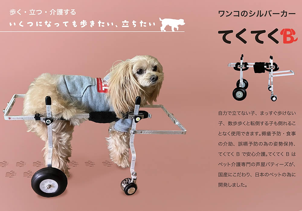 てくてくB てくてくB