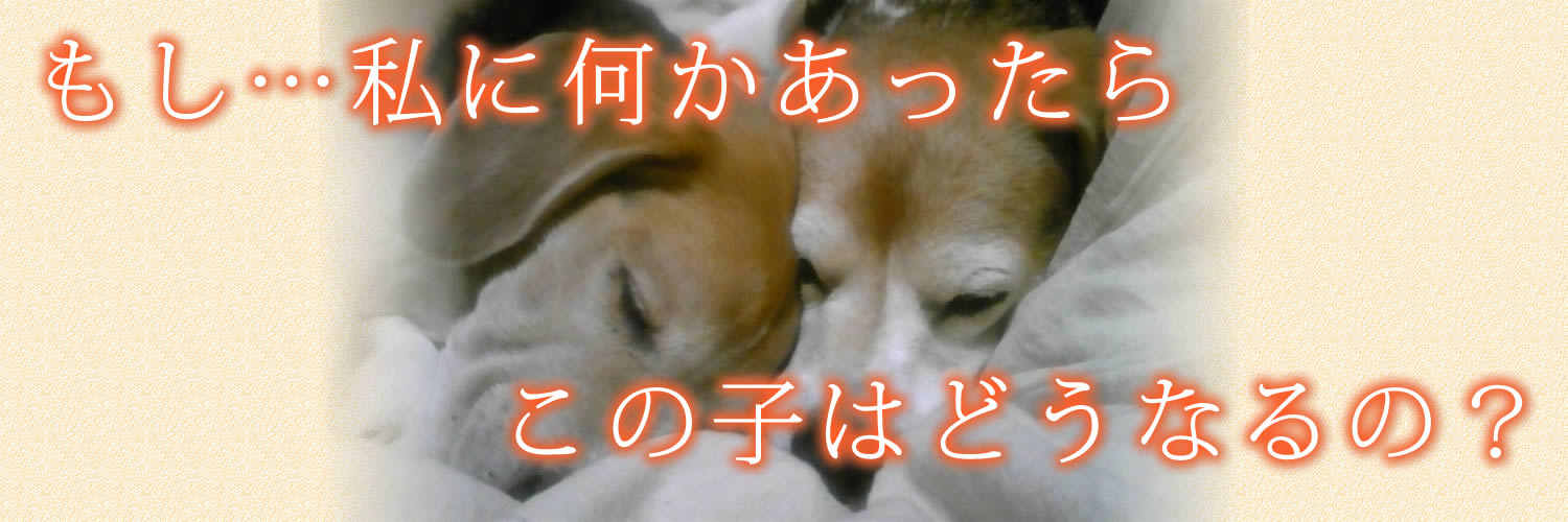 …ɉ炱̎q͂ǂȂ́H